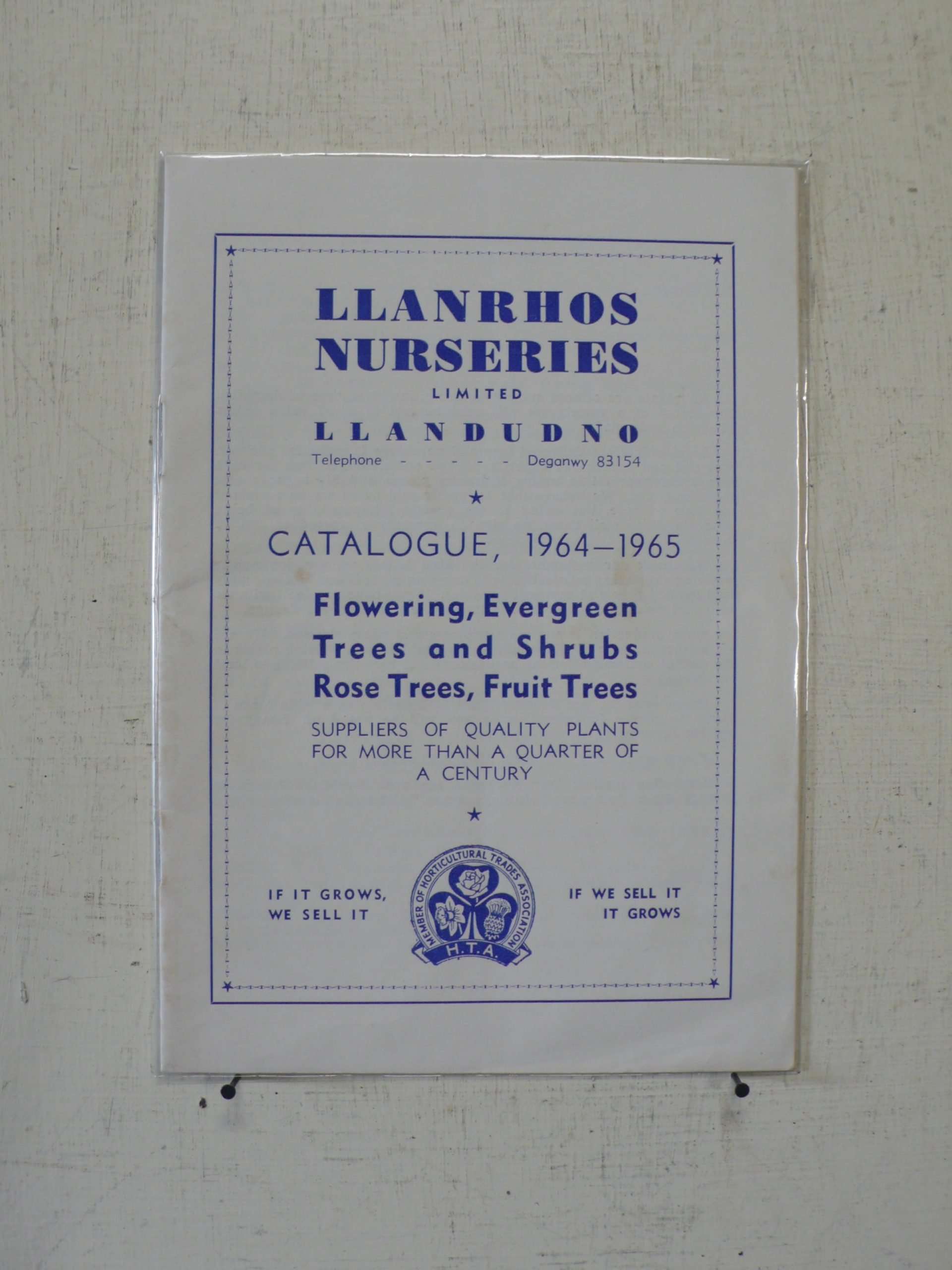 Llanrhos Nurseries Trees and Shrubs Catalogue, 1964-65