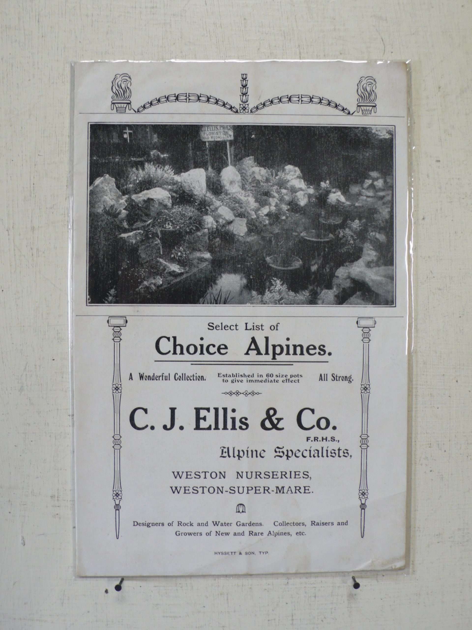 C J Ellis Alpine Catalogue