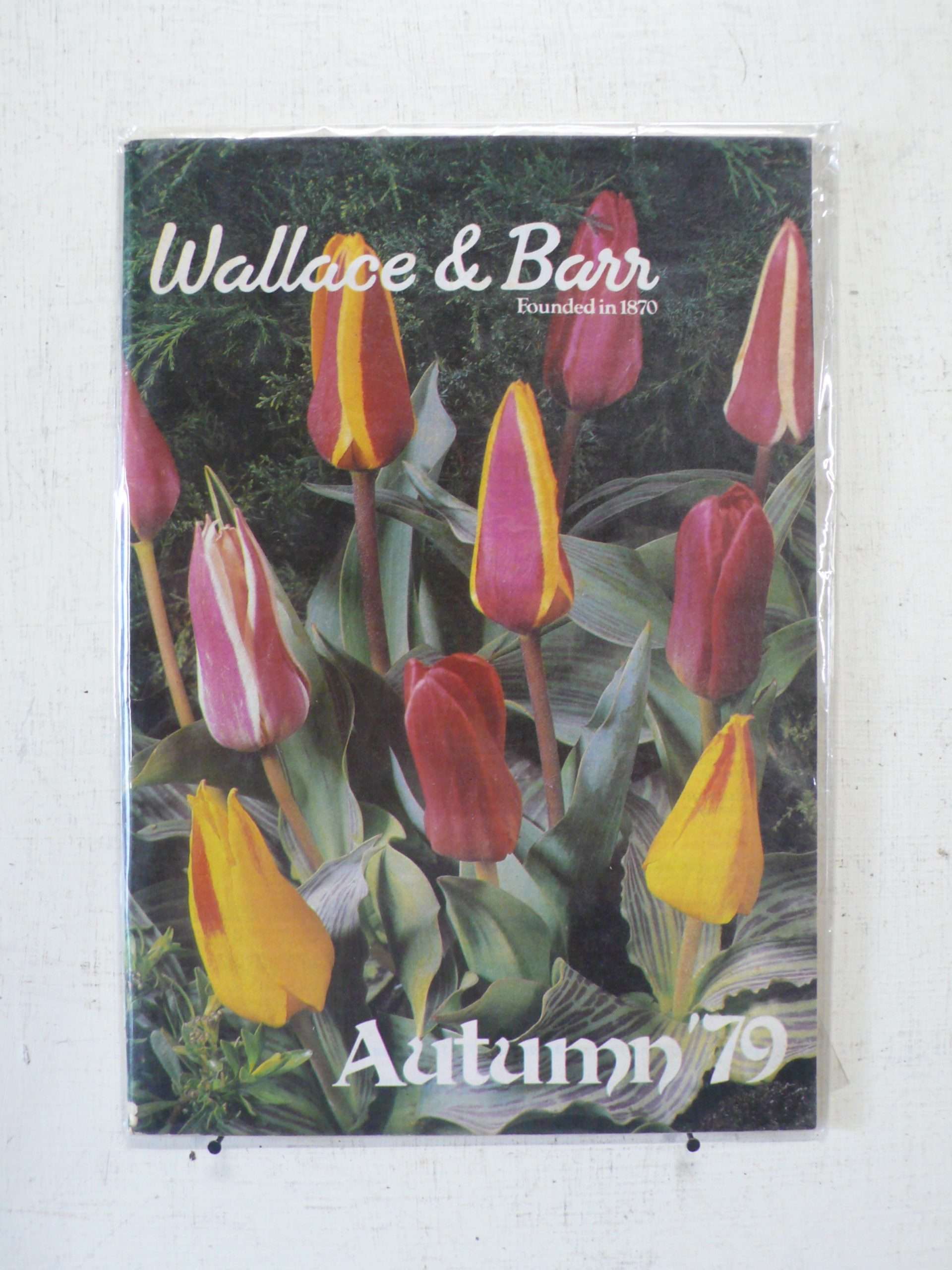 Wallace &amp; Barr Bulb Catalogue, Autumn 79