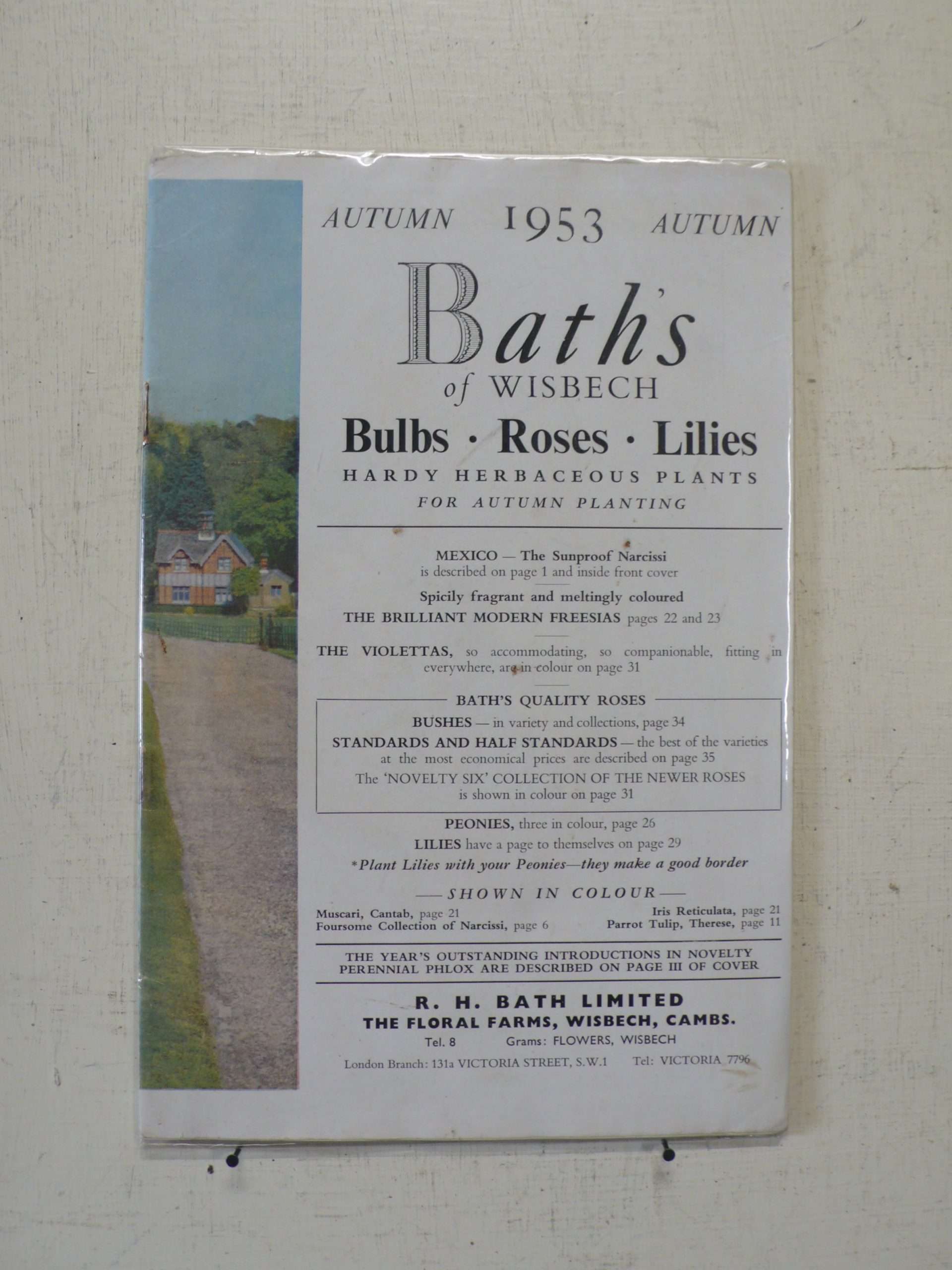 Baths of Wisbech Bulb Catalogue, 1953