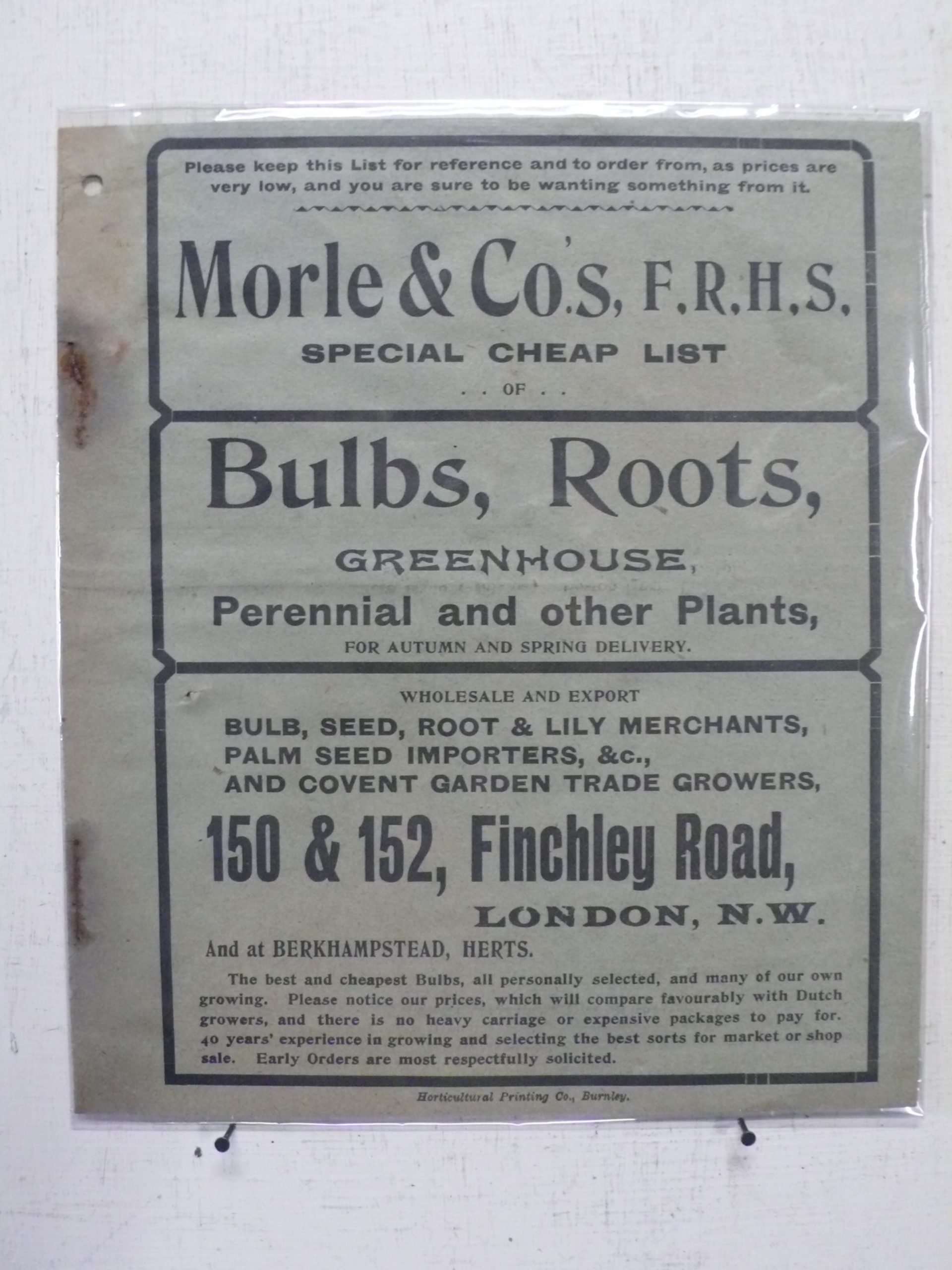 Morle &amp; Co Bulb Catalogue