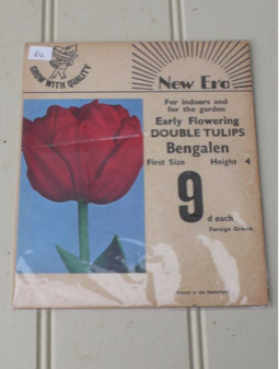 Tulip Bulb Card