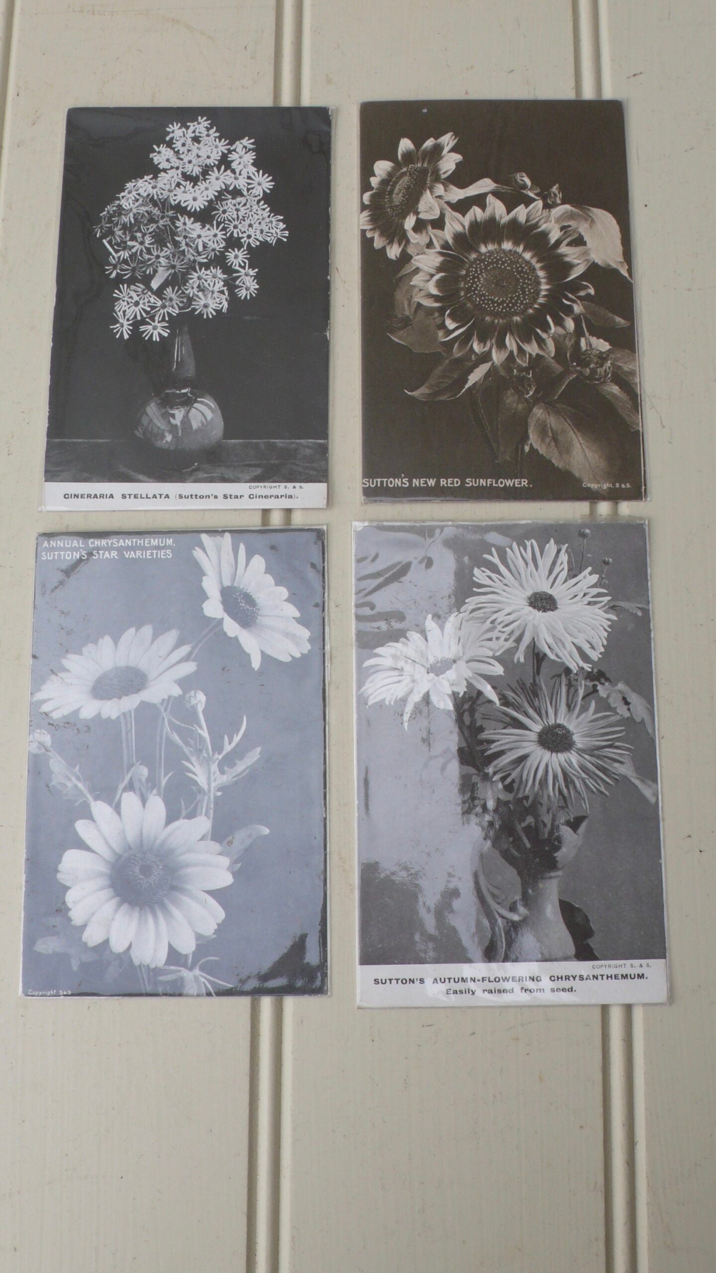 Set of Sutton&#39;s Seeds Cards